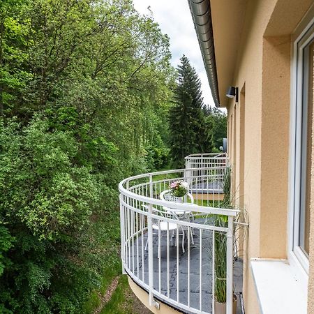 Forest Apartment With Sauna Jachymov Εξωτερικό φωτογραφία